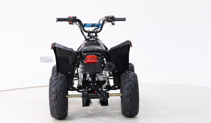 
								AusTuff Kids All Terrain Quad Bike SK11 full									