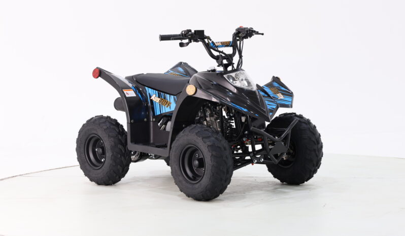 
								AusTuff Kids All Terrain Quad Bike SK11 full									