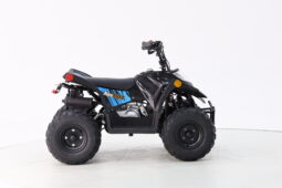 
										AusTuff Kids All Terrain Quad Bike SK11 full									